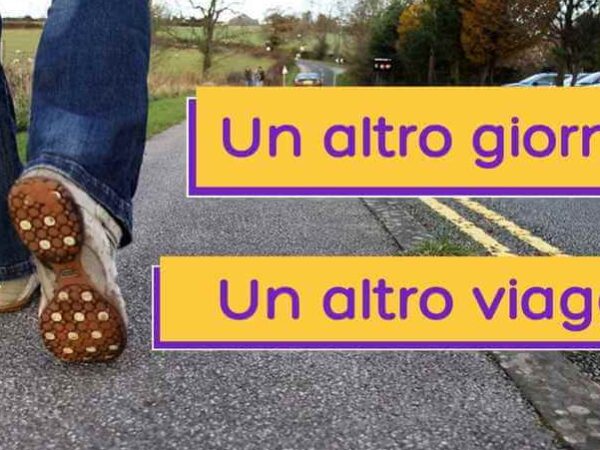 Testimonianze sui percorsi di coaching.