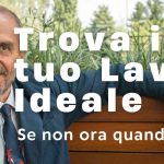 Consulente di carriera
